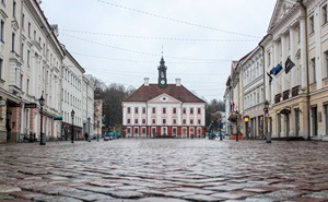 IMG_1519 IMG_1519